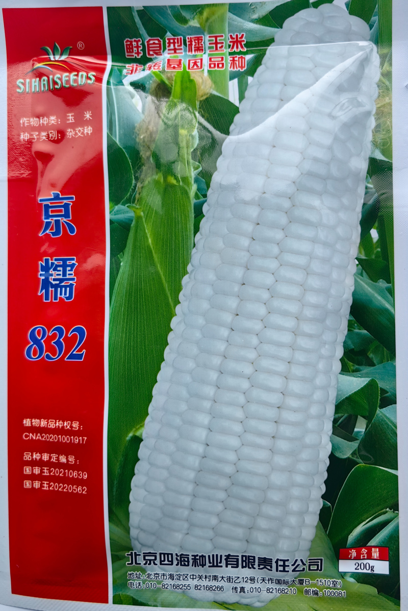 京糯832糯玉米白甜糯大棒鲜食大穗高产软粘春夏秋播糯玉米