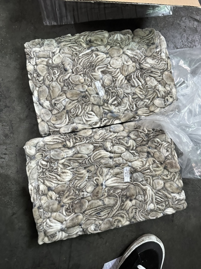 干章20/40章鱼纯干水