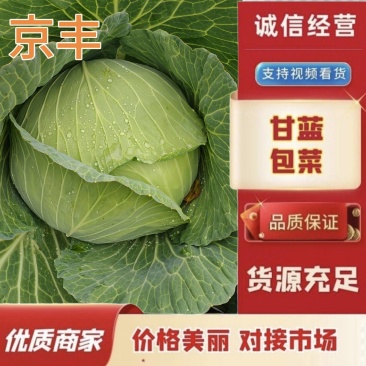[扁甘蓝精品]京丰一手货源，产地直发，手感菜，宣菜！