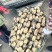 【白莲藕】湖北洪湖莲藕原产地供货常年不断承接加工批发社区团购