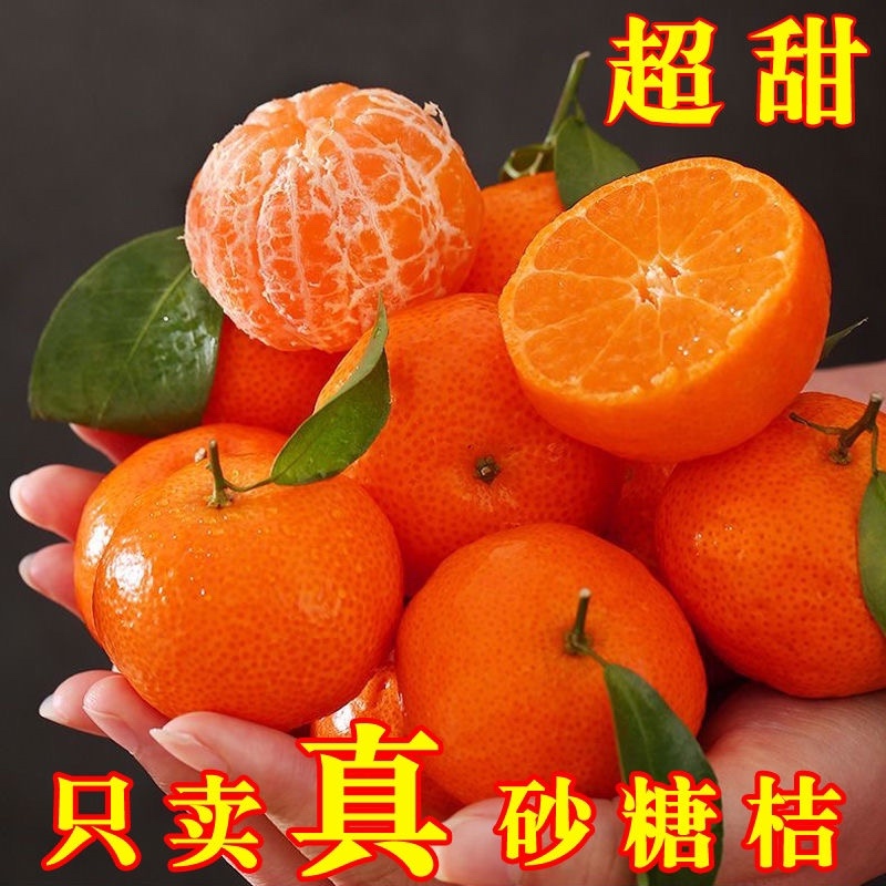 金秋砂糖橘，南丰砂糖橘，蜜广砂糖橘货源充足全国发货