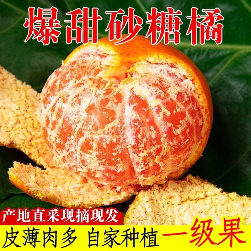 金秋砂糖橘，南丰砂糖橘，蜜广砂糖橘货源充足全国发货