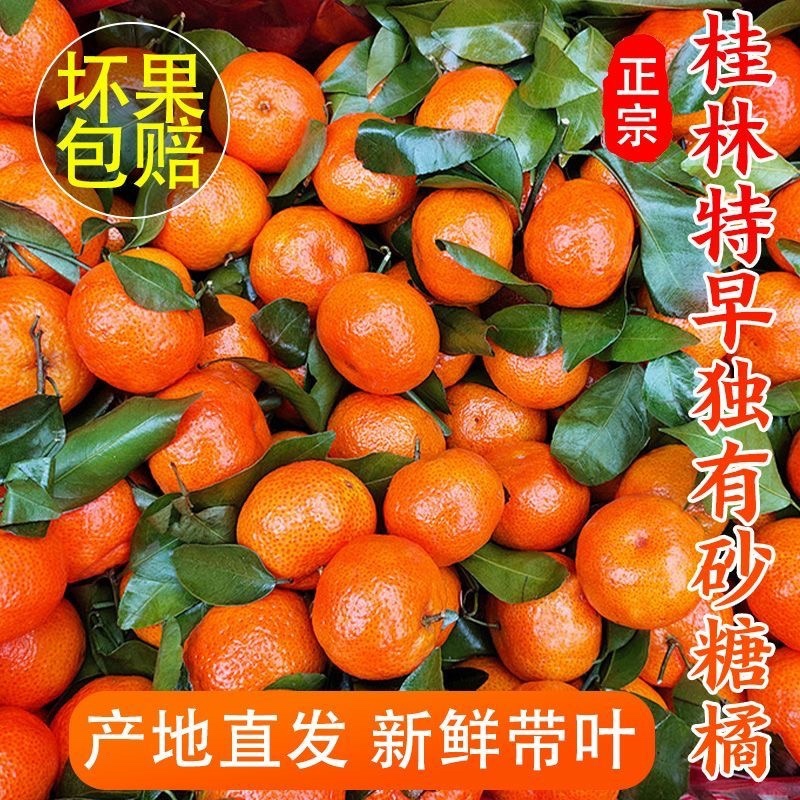 金秋砂糖橘，南丰砂糖橘，蜜广砂糖橘货源充足全国发货