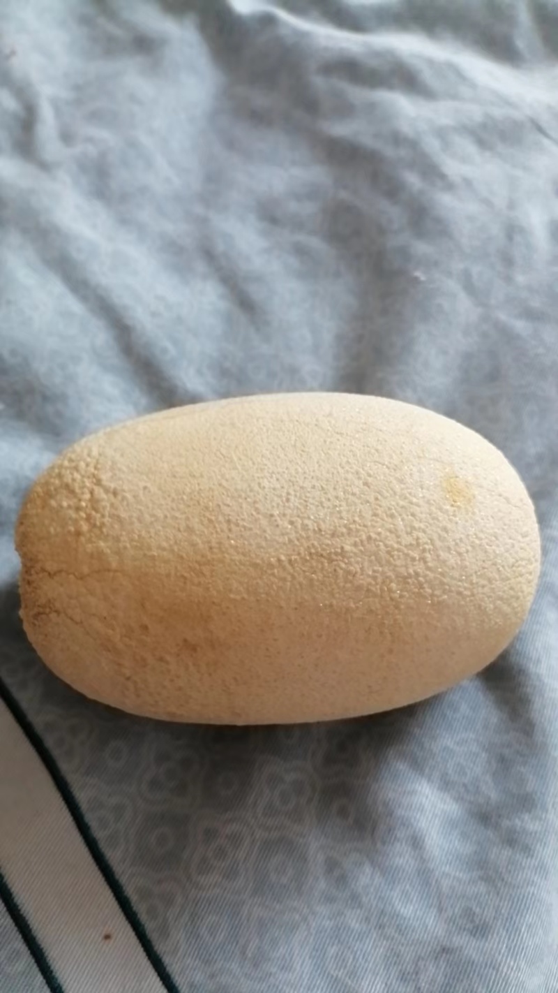 出售狗宝