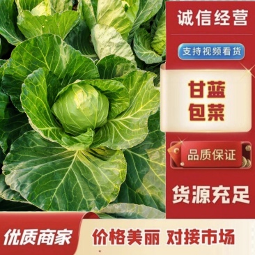 工厂货对接/宣菜/手感菜/硬菜/各种工厂货！