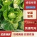工厂货对接/宣菜/手感菜/硬菜/各种工厂货！