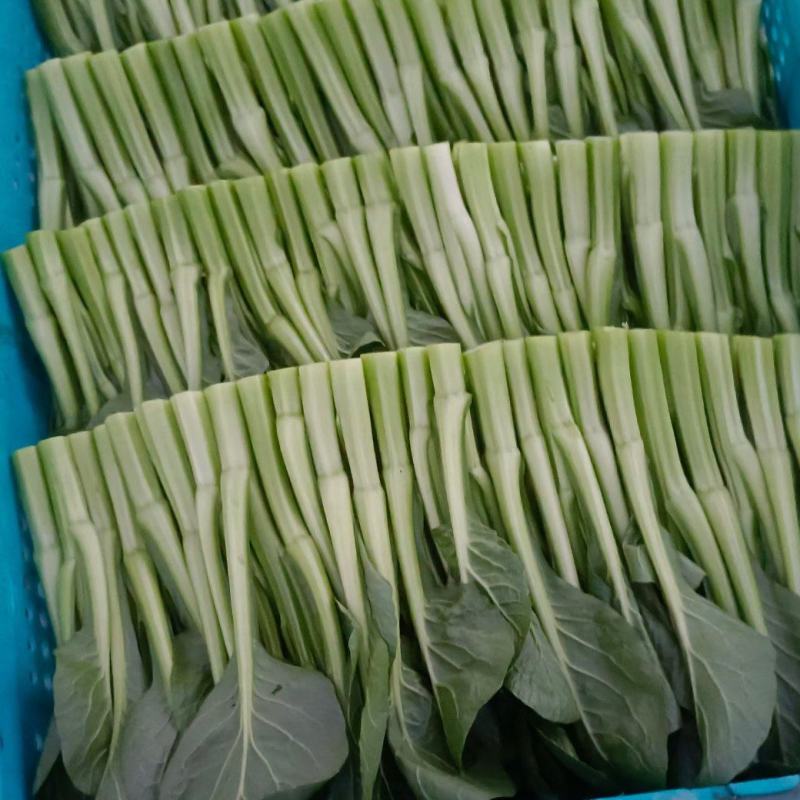 上海本地“广东甜菜心”大量上市！