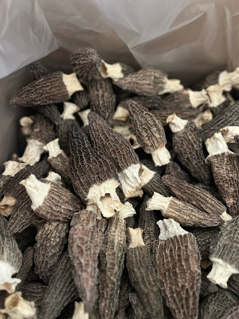 热卖急出羊肚菌精选羊肚菌7-15规格肉厚，丙白，颜色黑