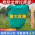 植物防寒罩加厚无纺布保温防寒防霜冻冬季花卉果树果园绿植铁