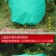 植物防寒罩加厚无纺布保温防寒防霜冻冬季花卉果树果园绿植铁