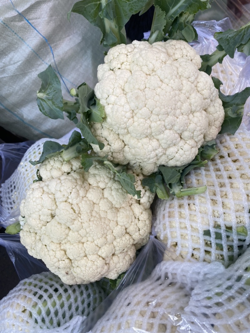 精品有机菜花、散花、白面青梗、小米花、大量上市、代发全国