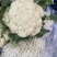 精品有机菜花、散花、白面青梗、小米花、大量上市、代发全国