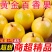 热卖】正宗黄金钦蜜9号百香果超甜**大号皱皮整箱5/10斤批
