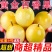 热卖】正宗黄金钦蜜9号百香果超甜**大号皱皮整箱5/10斤批