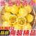 热卖】正宗黄金钦蜜9号百香果超甜**大号皱皮整箱5/10斤批