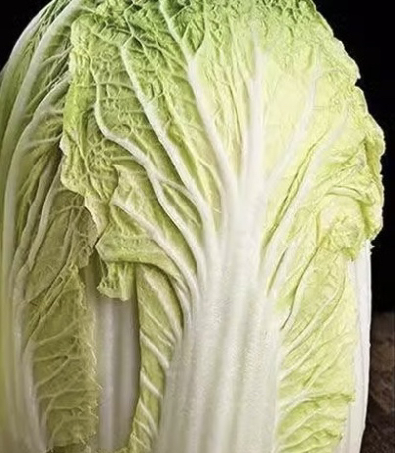 现摘现发，贵州大白菜高山露天种植火锅白菜当季菜新鲜菜