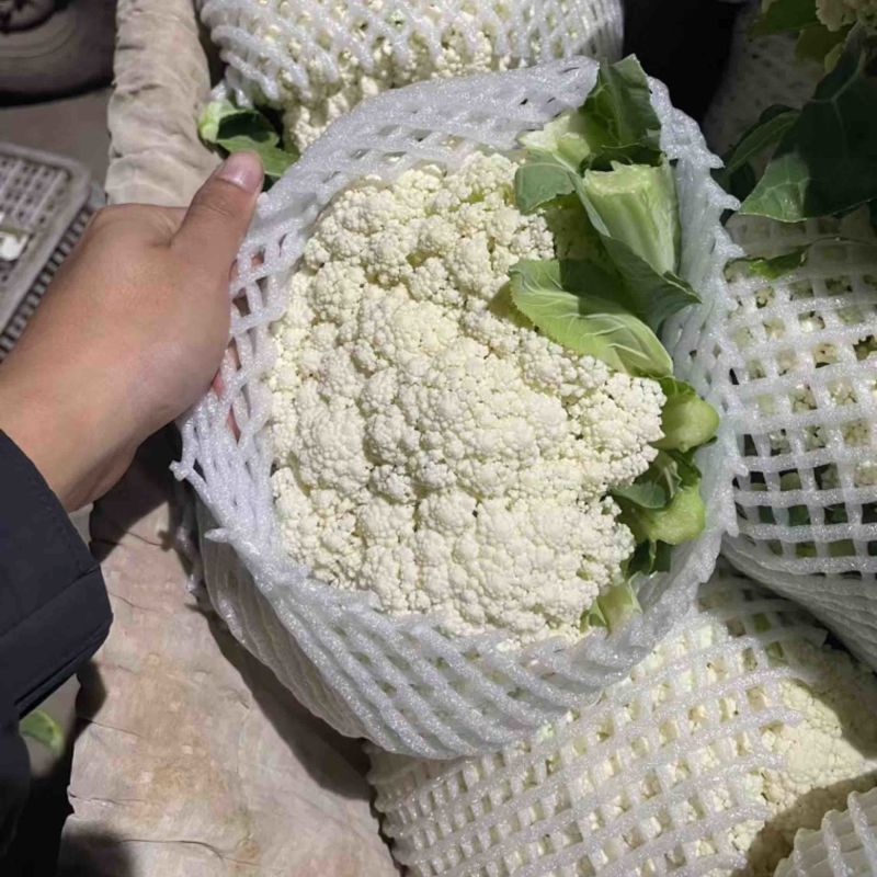 精品有机菜花、散花、白面青梗、小米花、大量上市、代发全国