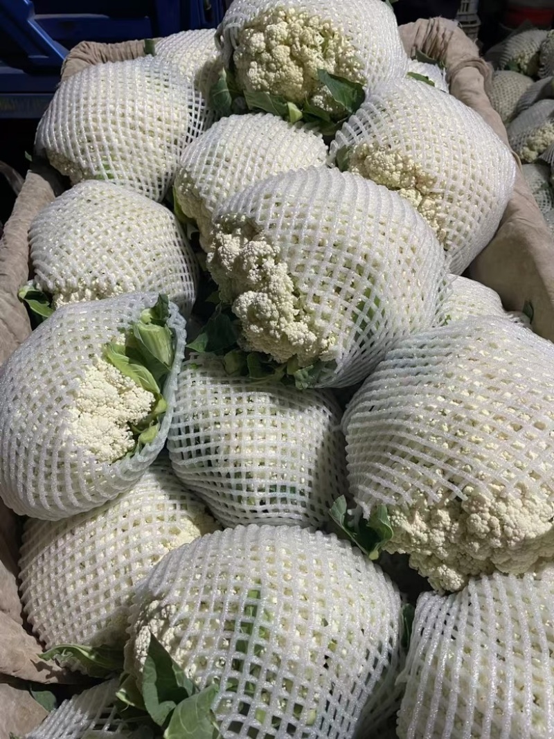 精品有机菜花、散花、白面青梗、小米花、大量上市、代发全国