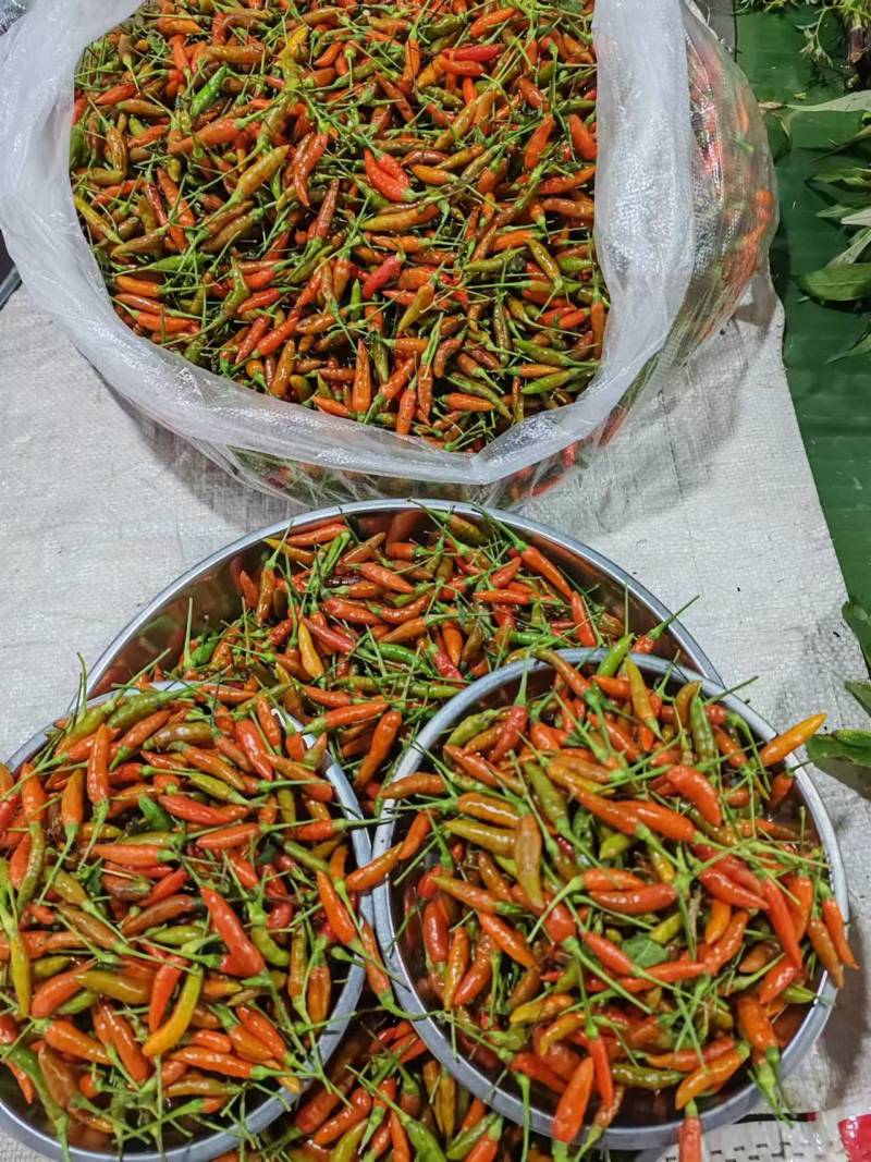 越南小米辣