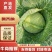 奥奇娜/产地直发/宣菜/手感菜/硬菜/规格全！电联！
