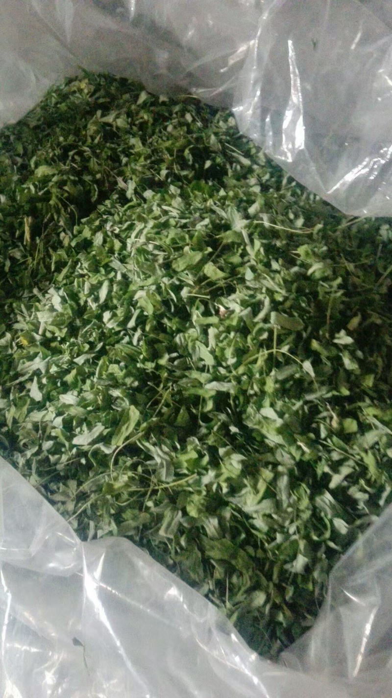 鸡骨想了解的请在一亩田留言