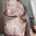 牛大脸肉大量供应厂家直发价格优惠全国发货