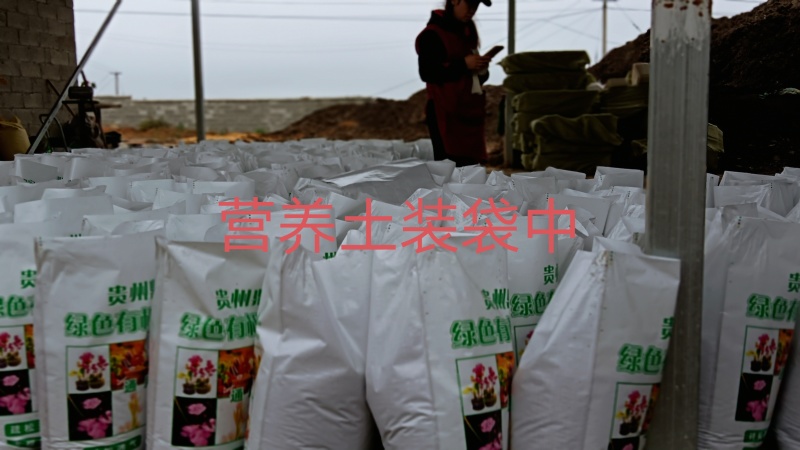 优质营养土，疏松透气，保水保肥不积水不烂根，不生蚊虫杂草