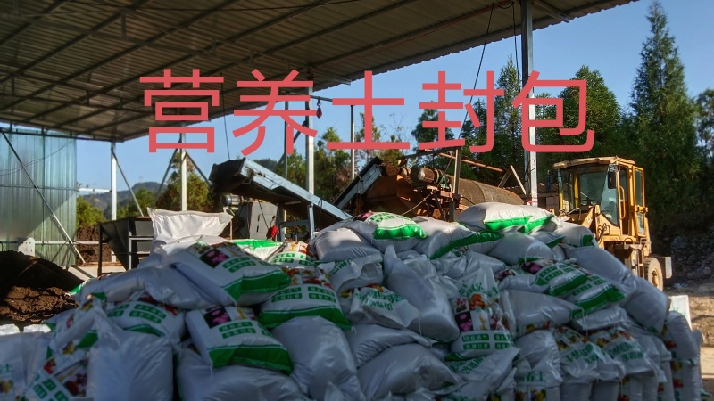 优质营养土，疏松透气，保水保肥不积水不烂根，不生蚊虫杂草
