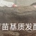 育苗基质大量供应全国发货欢迎电话联系