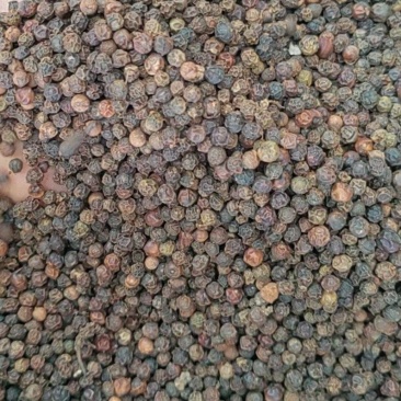 足5.8两，纯正越南原包装，无杂质，没粉尘和尾椒，颗粒大