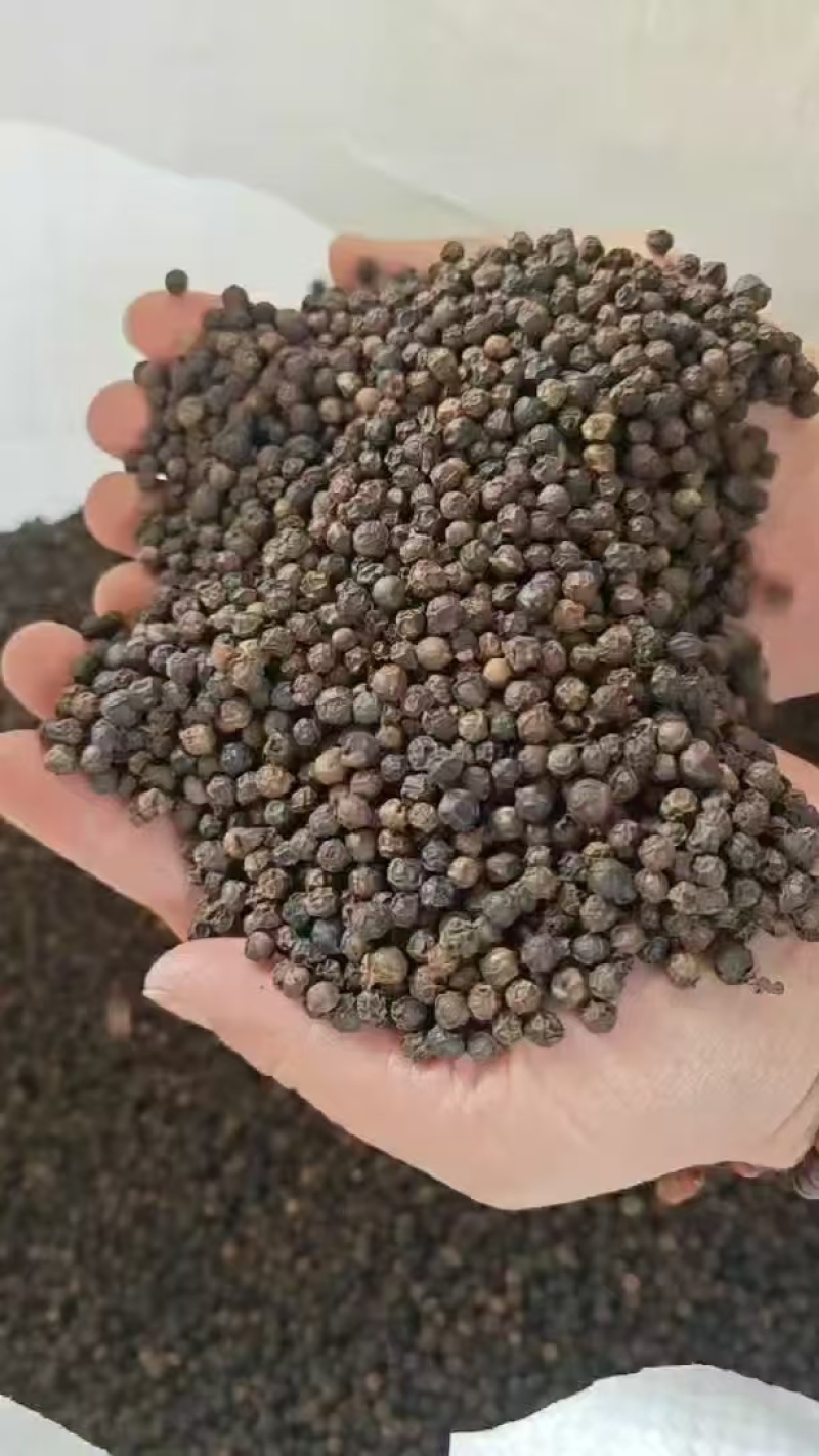 足5.8两，纯正越南原包装，无杂质，没粉尘和尾椒，颗粒大