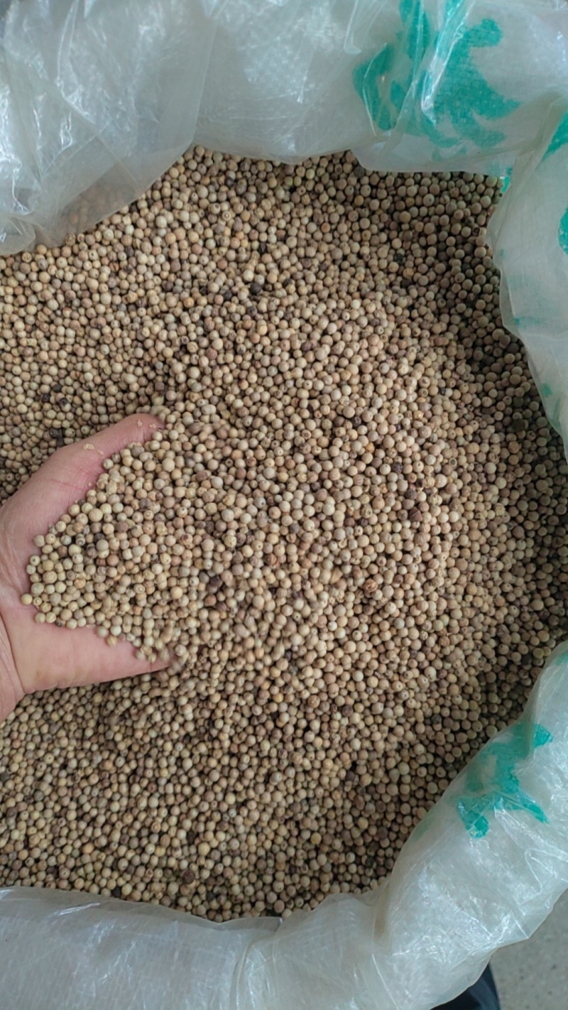 足5.8两，纯正越南原包装，无杂质，没粉尘和尾椒，颗粒大
