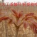 红油香椿树苖南方北方种植食用绿油香椿高产苗盆栽地栽当年采
