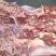 羊肉板、后腿包肉内蒙草地羊羊肉,无水、***,纯草地羊肉