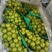 大量巨峰，阳光玫瑰出库啦！有需要的老板联系！