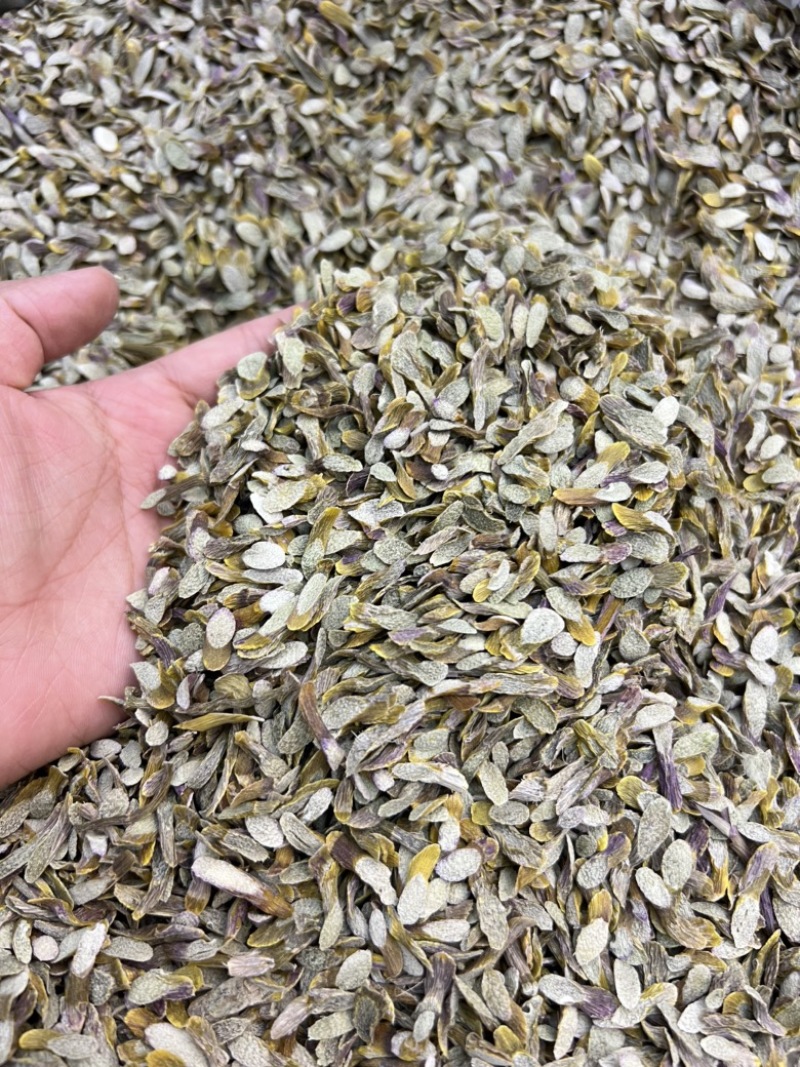 铁皮石斛切片，价格不贵，现货100公斤需要的老板来电洽谈