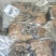 【熟牛杂】精品牛杂，可按要求各种规格，品质保障