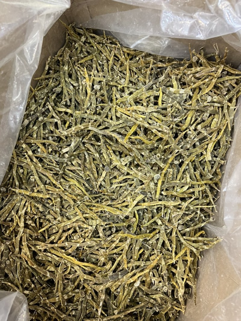 珍虫石斛条，好货不多，需要的老板来电460一斤