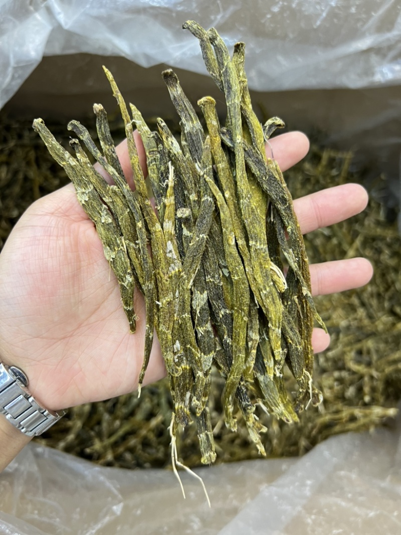 珍虫石斛条，好货不多，需要的老板来电460一斤