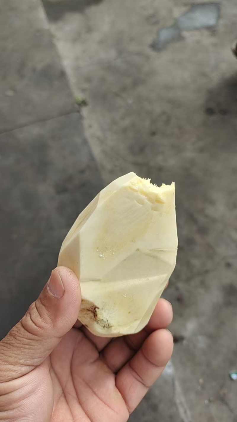 湖南2号地瓜有一百亩有需要的老板来