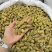铁皮石斛枫斗1.4规格，现货100公斤