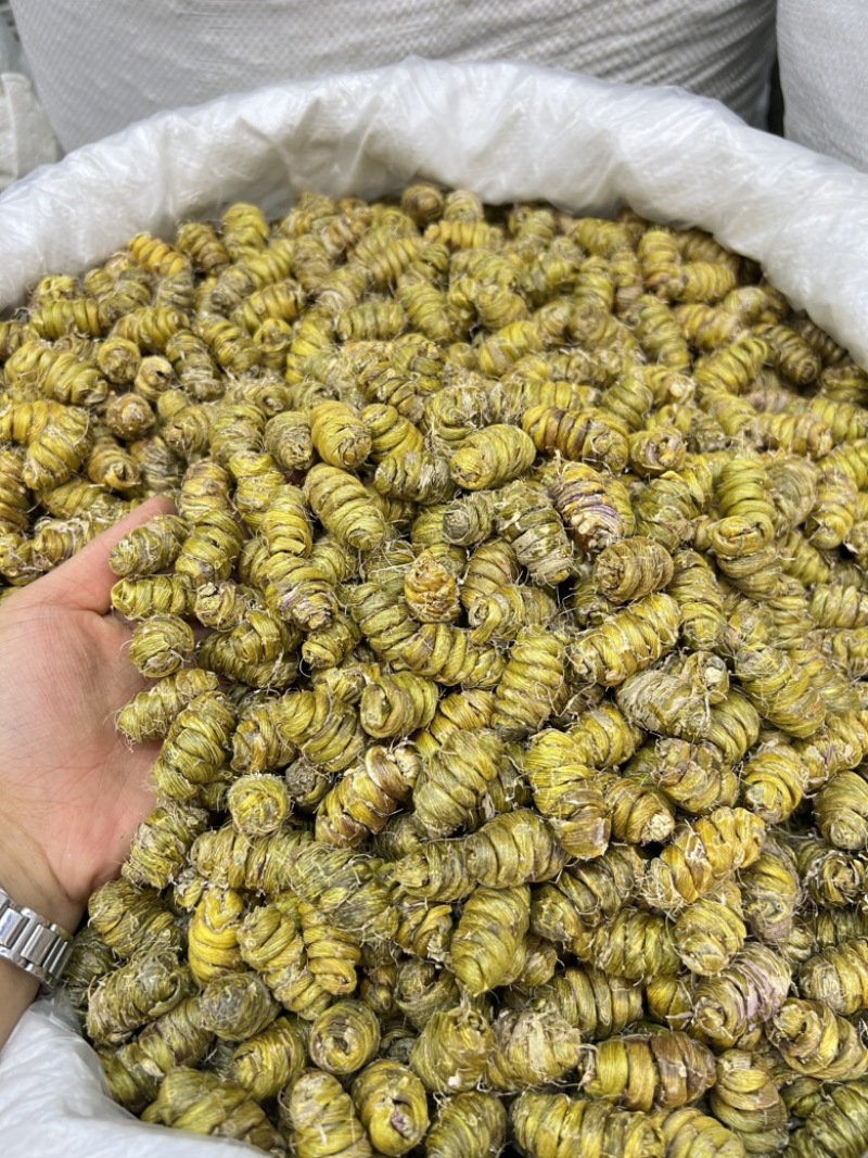 铁皮石斛枫斗1.4规格，现货100公斤