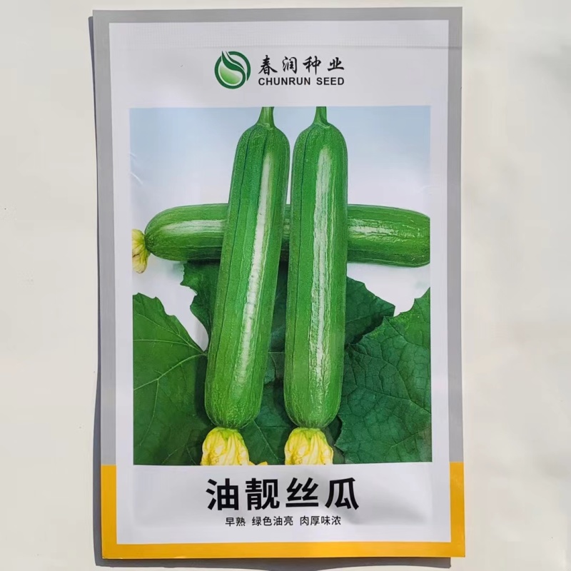 油靓丝瓜种子早熟绿油亮皮丝瓜种籽圆筒形短棒丝瓜肉厚味浓品