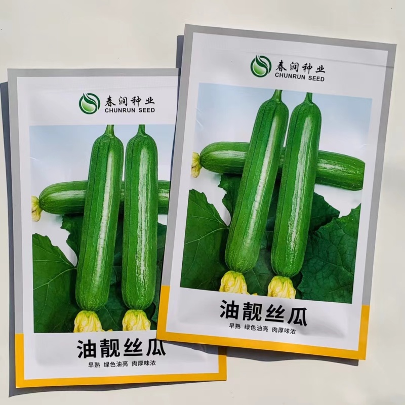 油靓丝瓜种子早熟绿油亮皮丝瓜种籽圆筒形短棒丝瓜肉厚味浓品
