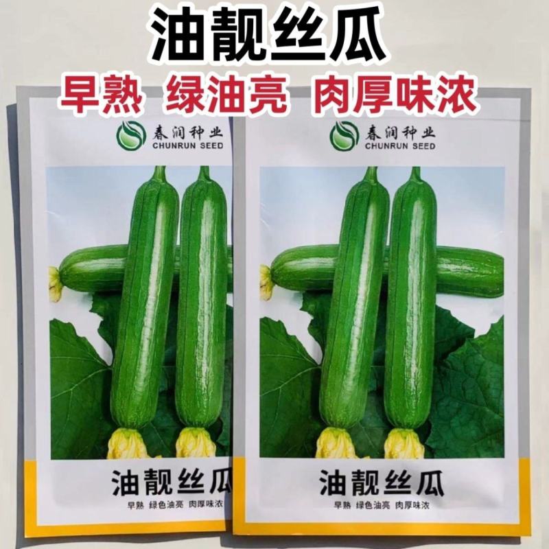 油靓丝瓜种子早熟绿油亮皮丝瓜种籽圆筒形短棒丝瓜肉厚味浓品