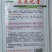 水果黄瓜种子未来之星全雌耐热型瓜条顺直翠绿品质