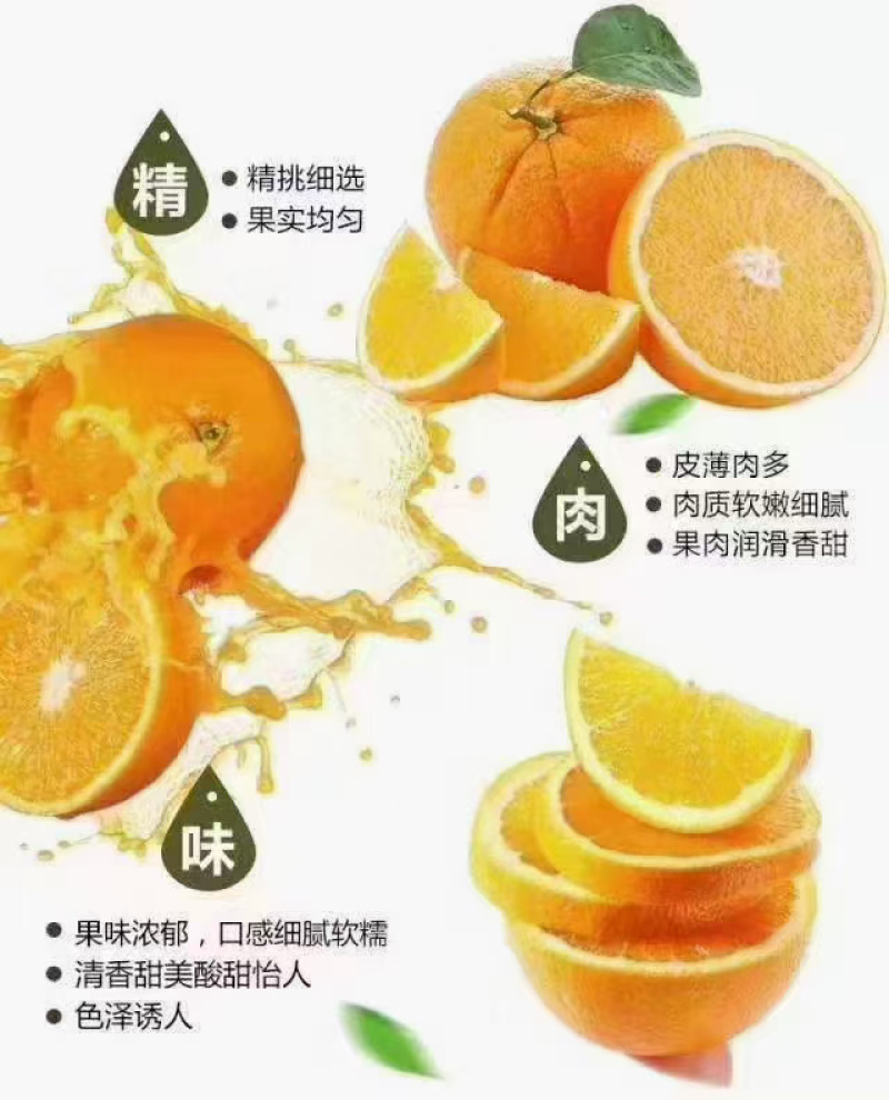 橙子，纽荷尔脐橙，口感好汁水多，品质保障，一件代发