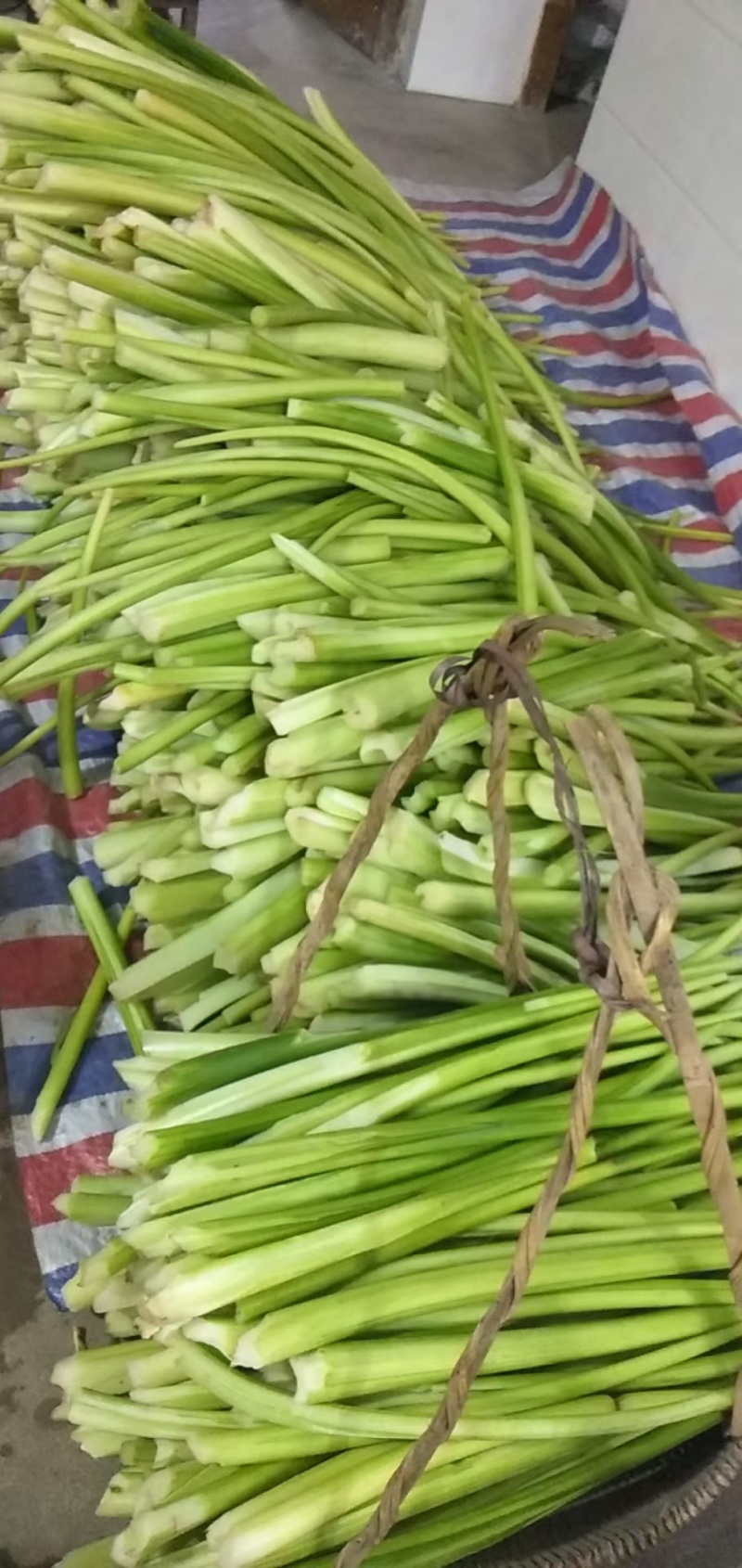 芋苗酸，有带皮的，有去皮的量大从优价格美丽