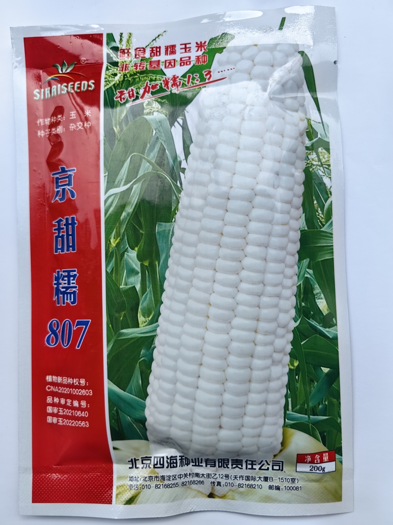 京甜糯807玉米种子北京四海甜糯大棒软糯香甜春秋糯粘玉米