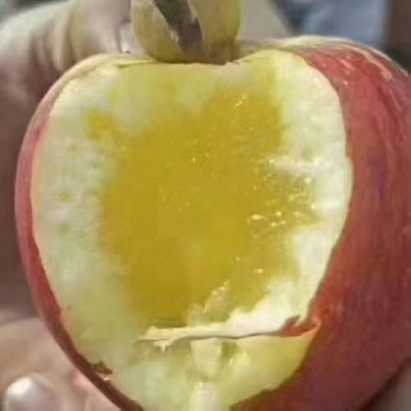 【精品】膜袋，纸袋红富士苹果，新疆阿克苏苹果，货源充足